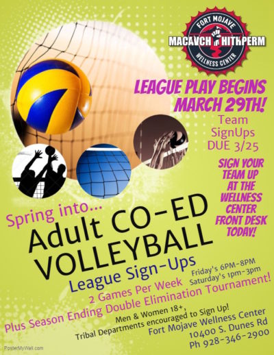 adult co-ed volleyball
